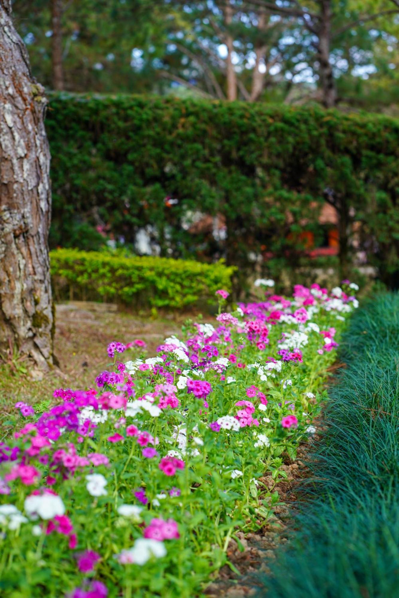 Ttc Dreamy Hill Resort - Unlimited Access To Ttc World - Thung Lung Tinh Yeu Da Lat Esterno foto