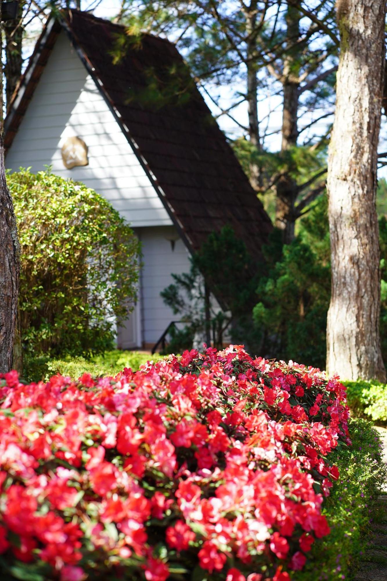 Ttc Dreamy Hill Resort - Unlimited Access To Ttc World - Thung Lung Tinh Yeu Da Lat Esterno foto